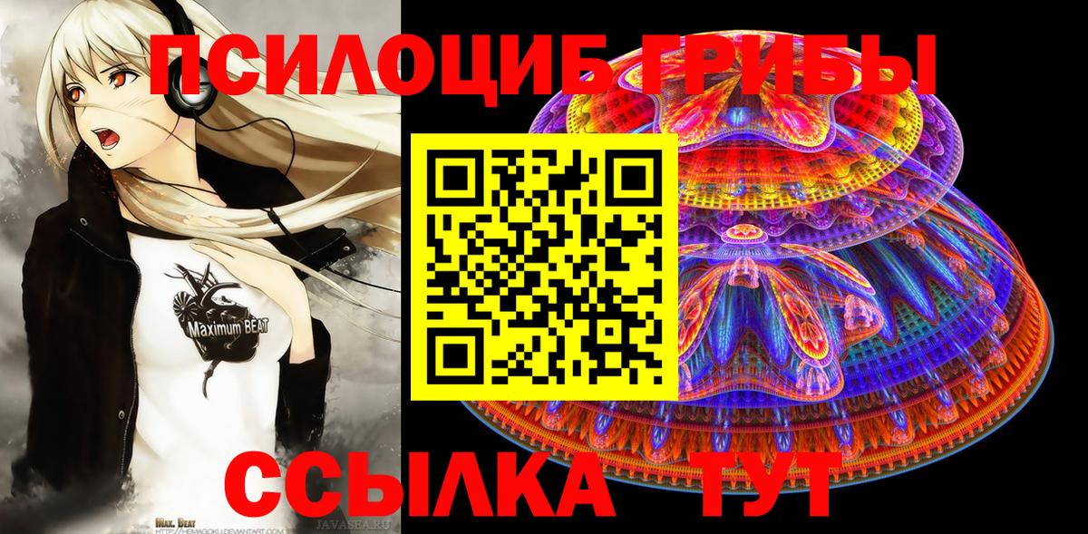 Псилоцибиновые грибы MAGIC MUSHROOMS  купить наркоту  Балашиха  Вход с VPN 